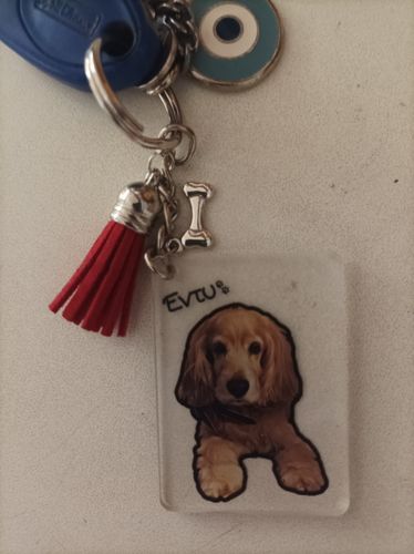 Customer photo review of Μπρελόκ με το Δικό σας Κατοικίδιο