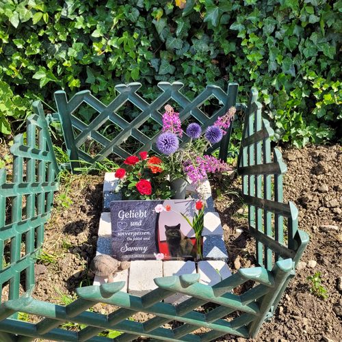 Customer photo review of Katzen Gedenktafel mit Foto & Spruch (UV- und wetterbeständig)