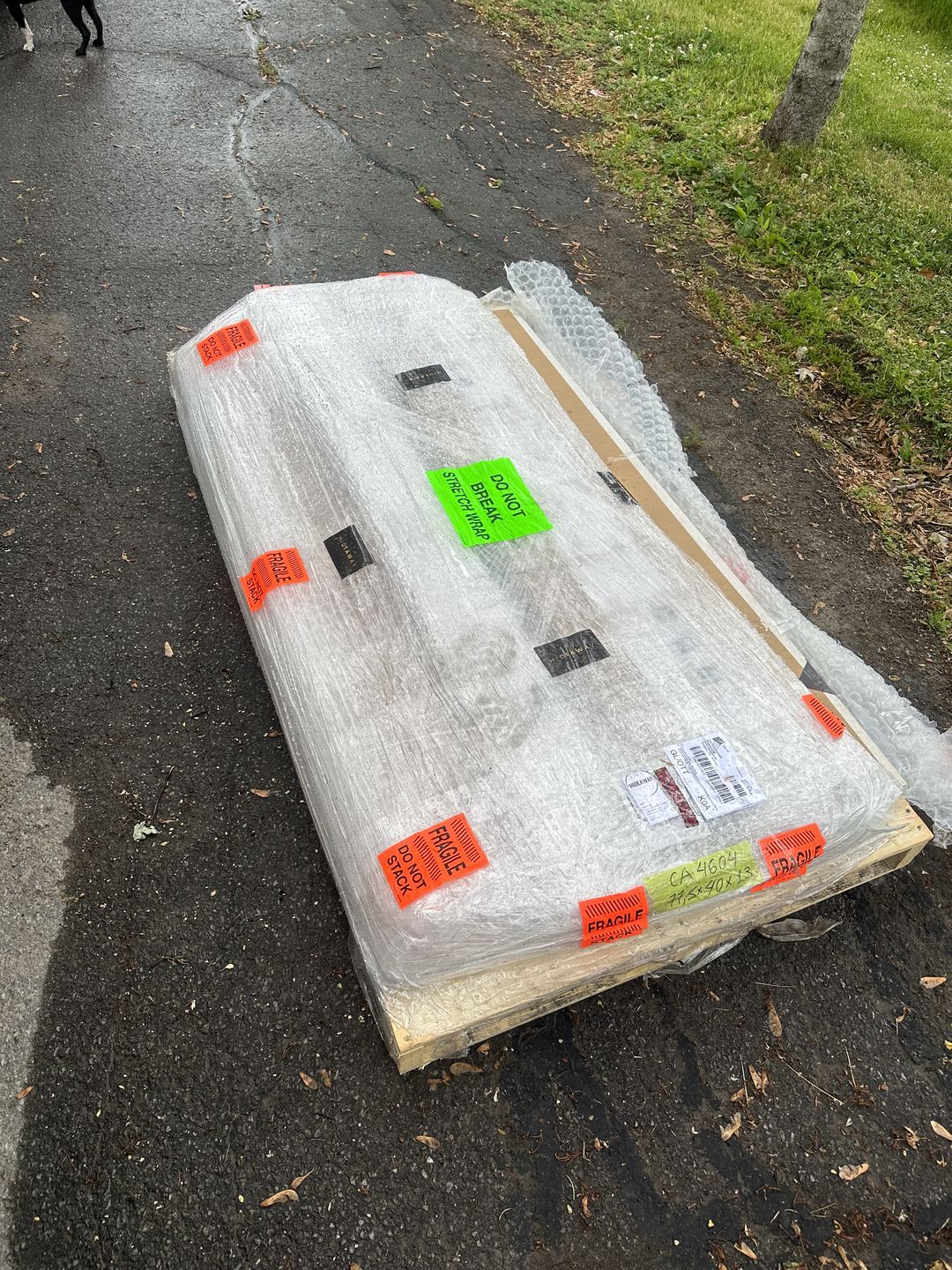 Customer photo review of Privacy Screen (Moderna)