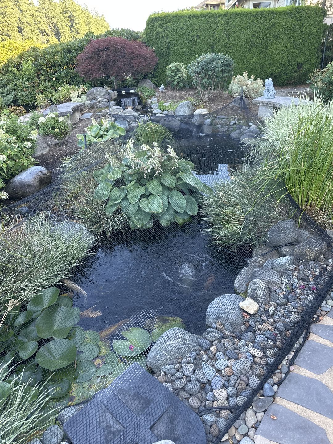Customer photo review of Replacement Leaf  Net for the Seagull HydroClean™ Pond Skimmer