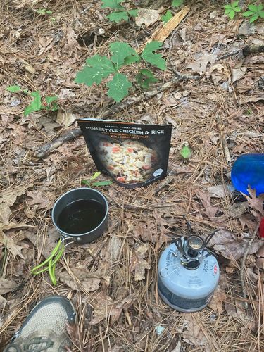 Customer photo review of Homestyle Chicken & Rice