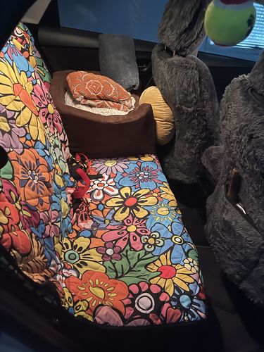 Customer photo review of Floral Dream Dog Car Seat Covers