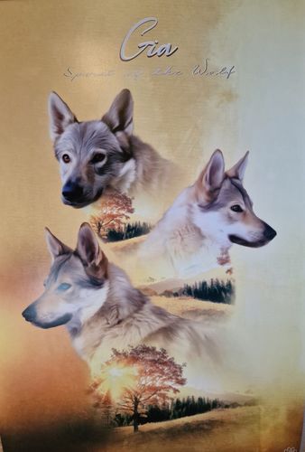 Customer photo review of Natur Pawtrait