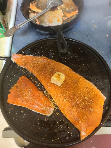 Customer photo review of Popsie's Wild Caught Alaska Sockeye Salmon Fillets Box (choose 10 or 25 lbs)