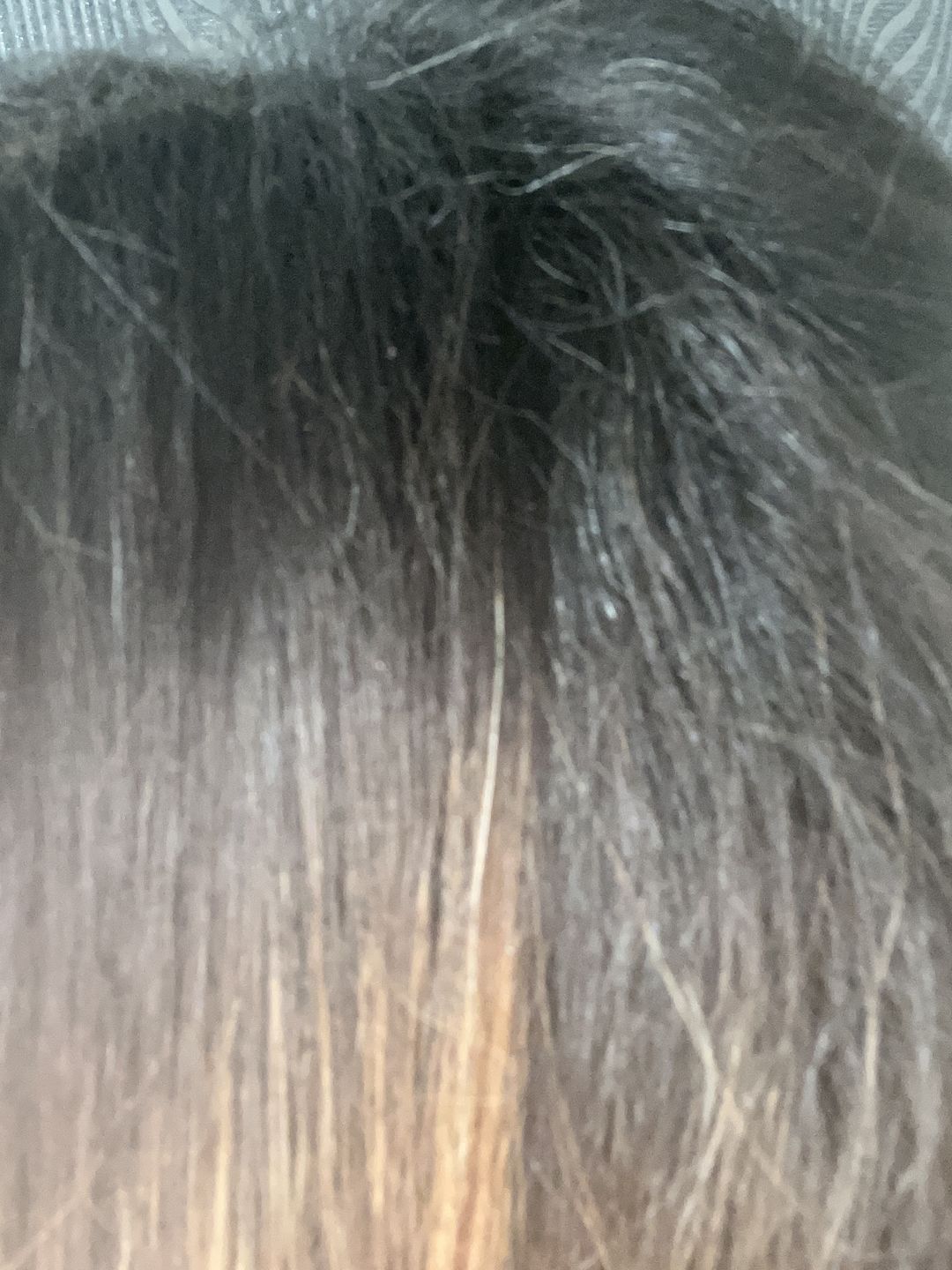 Customer photo review of Gamme Résistance - Shampooing 500 ml