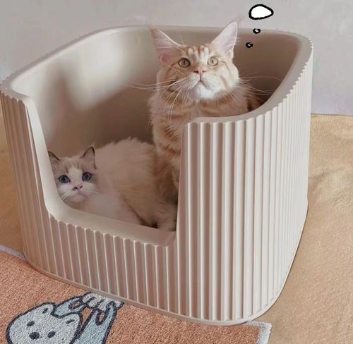 Customer photo review of Michu XXL Coral & BoBa Deluxe Cat Litter Box - Spacious Design with Scoop Included