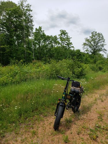 Customer photo review of High Resilience Soft Foam Sponge Bicycle Cushion,Waterproof Bicycle Seat