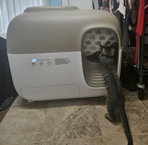 Customer photo review of Self-Cleaning Litter Box