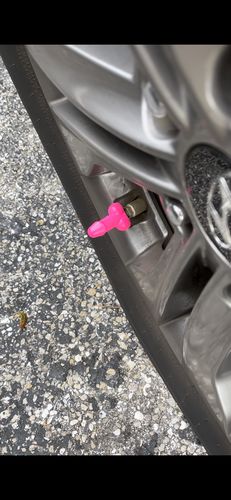 Customer photo review of Tirecockz Prank Dick Shaped Valve Stem Caps
