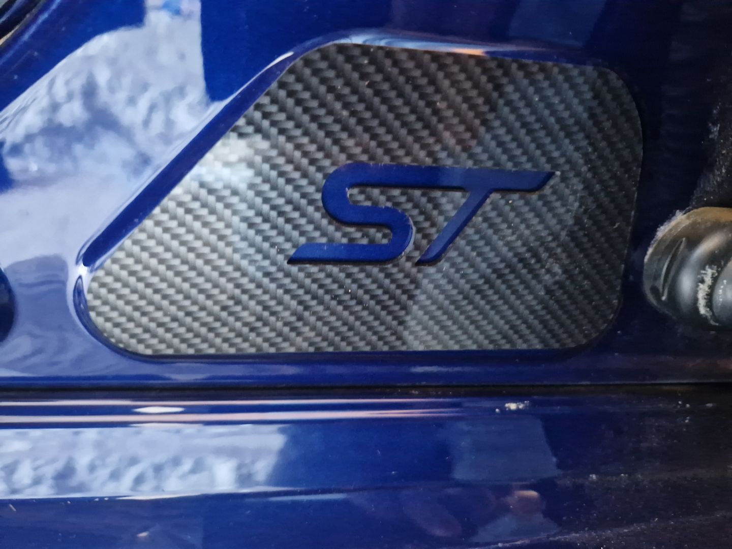 Customer photo review of Mk3/3.5 Focus RS / ST / ST-Line Door Sill Plates