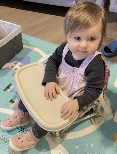 Customer photo review of Paloma baby chair v2