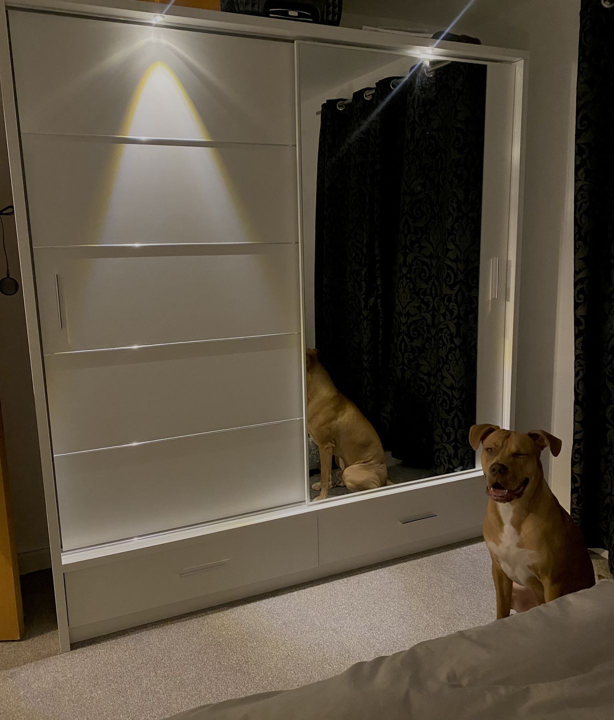 Customer photo review of Arti 5 - 2 Sliding Door Wardrobe 200cm