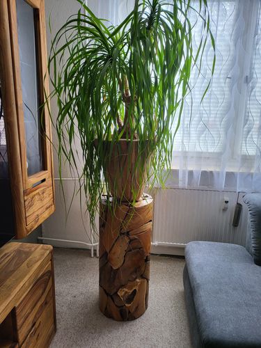 Customer photo review of Teak Holz Säule XILON rund