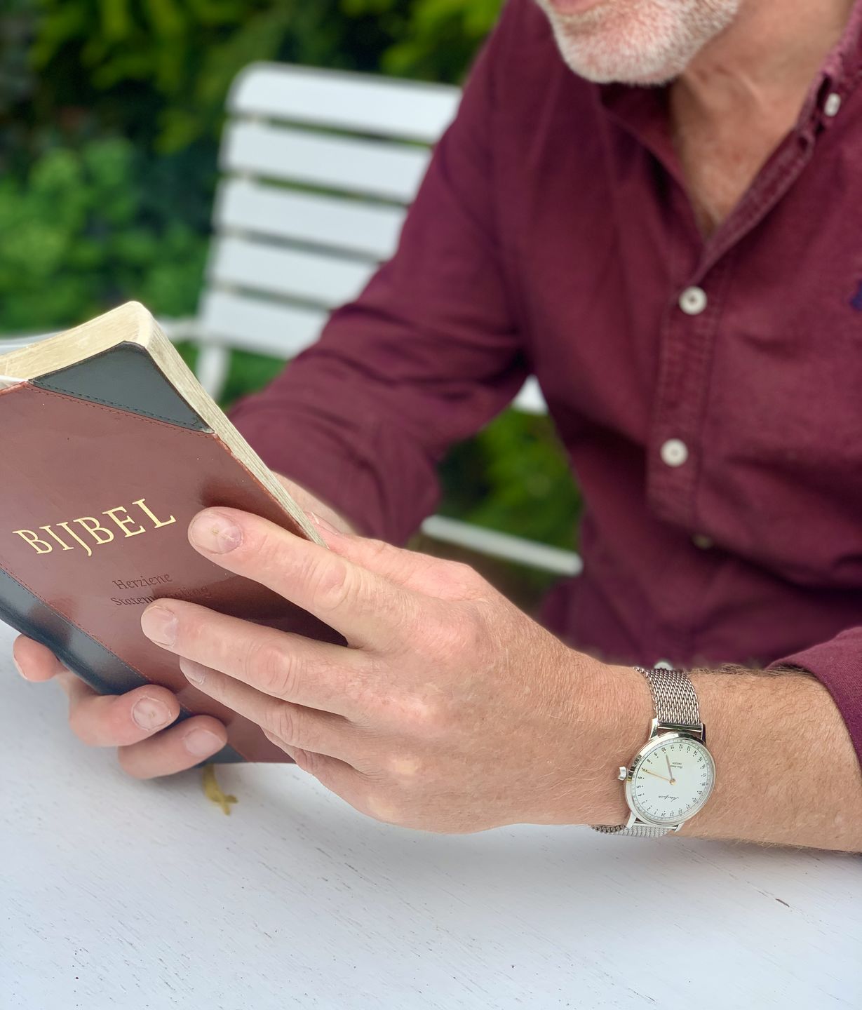 Customer photo review of First Season Silver White with Silver Mesh