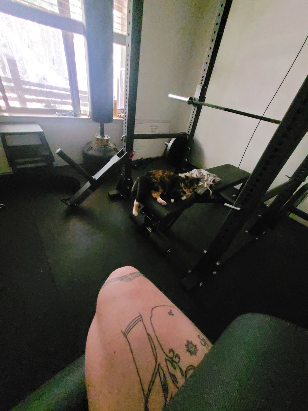 Customer photo review of Belt squat attachment
