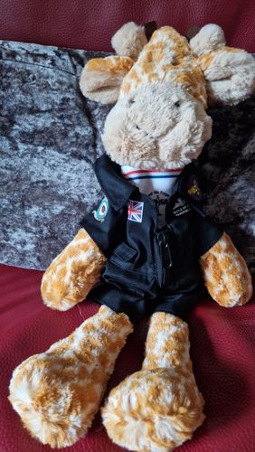 undefined review of BBMF Suit for 9in Bear image 1 out of 1