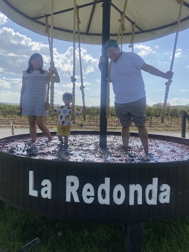 Customer photo review of (Wine Picnic) Temporada de Vendimia 2023