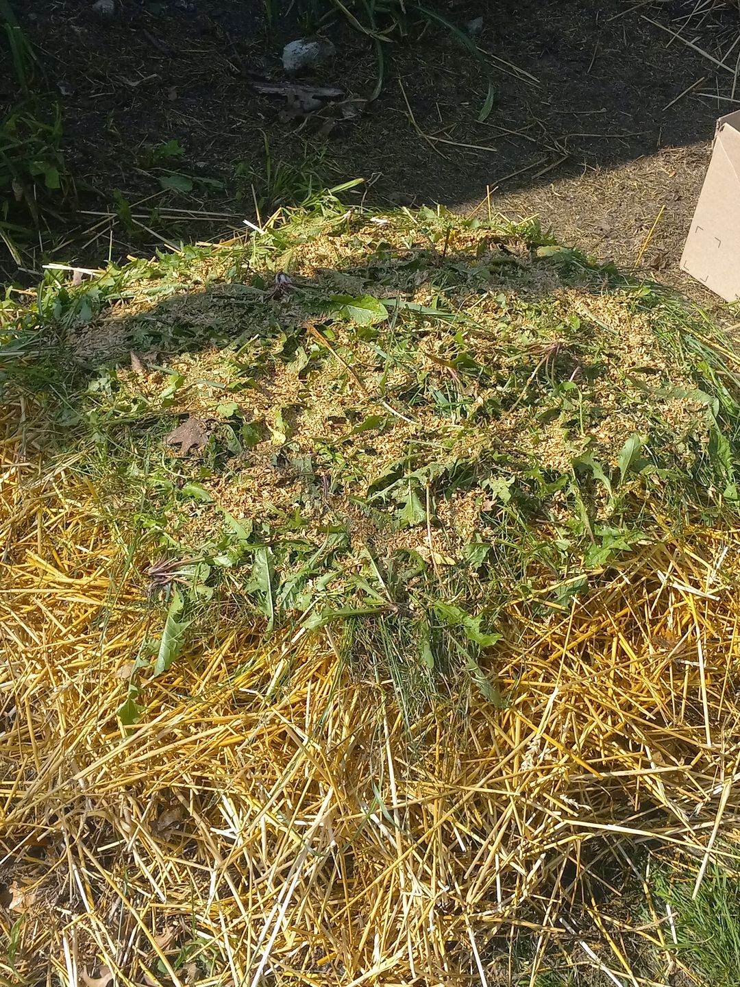 Customer photo review of BierKashi Bokashi 5 to 50 lbs