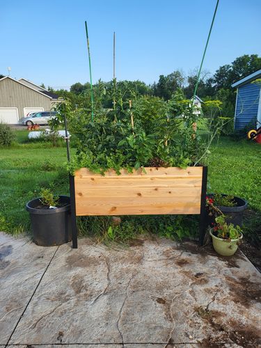 Customer photo review of 18" x 48" Raised Garden Bed