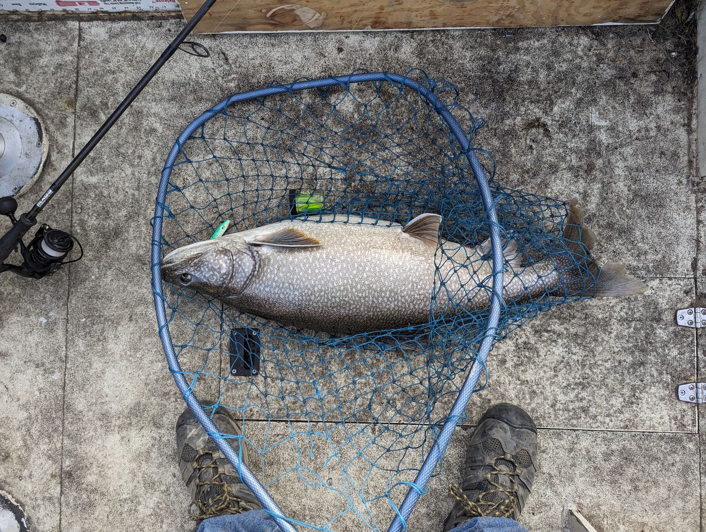 Customer photo review of Lake Trout/Salmon Jigging Rod