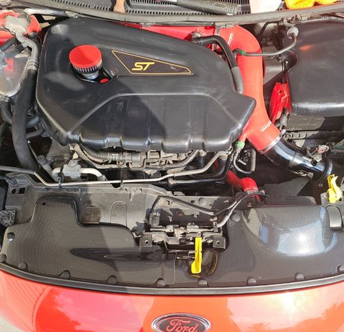 Customer photo review of Proform Fuse Box Cover (various colours) -  Mk7/7.5 Ford Fiesta