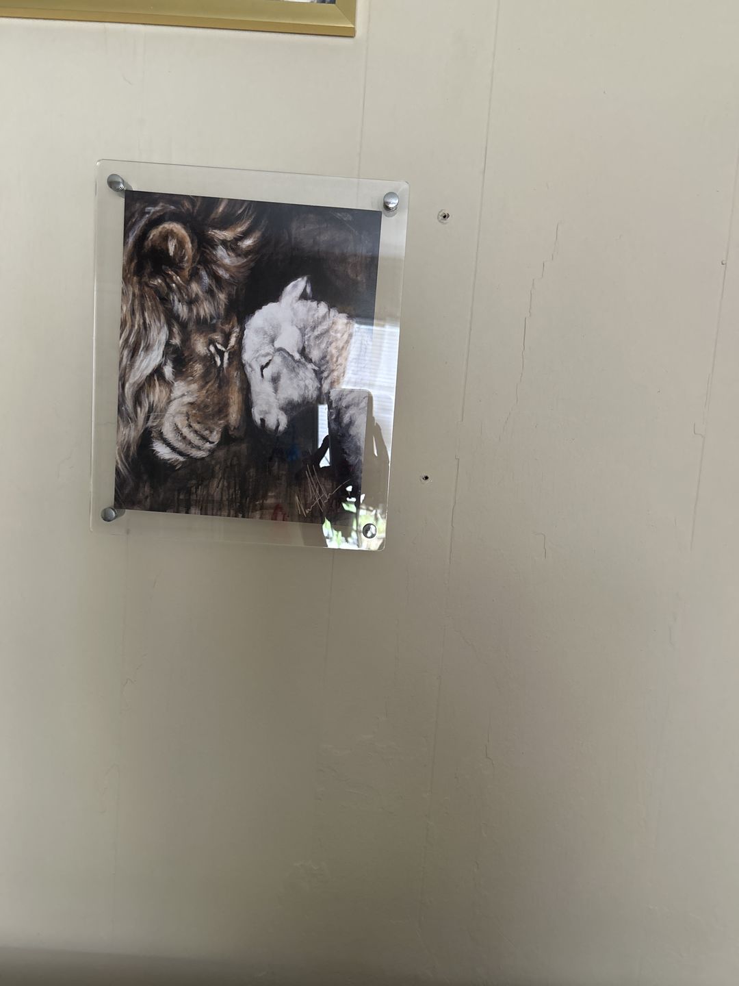 Customer photo review of Compassion of a King