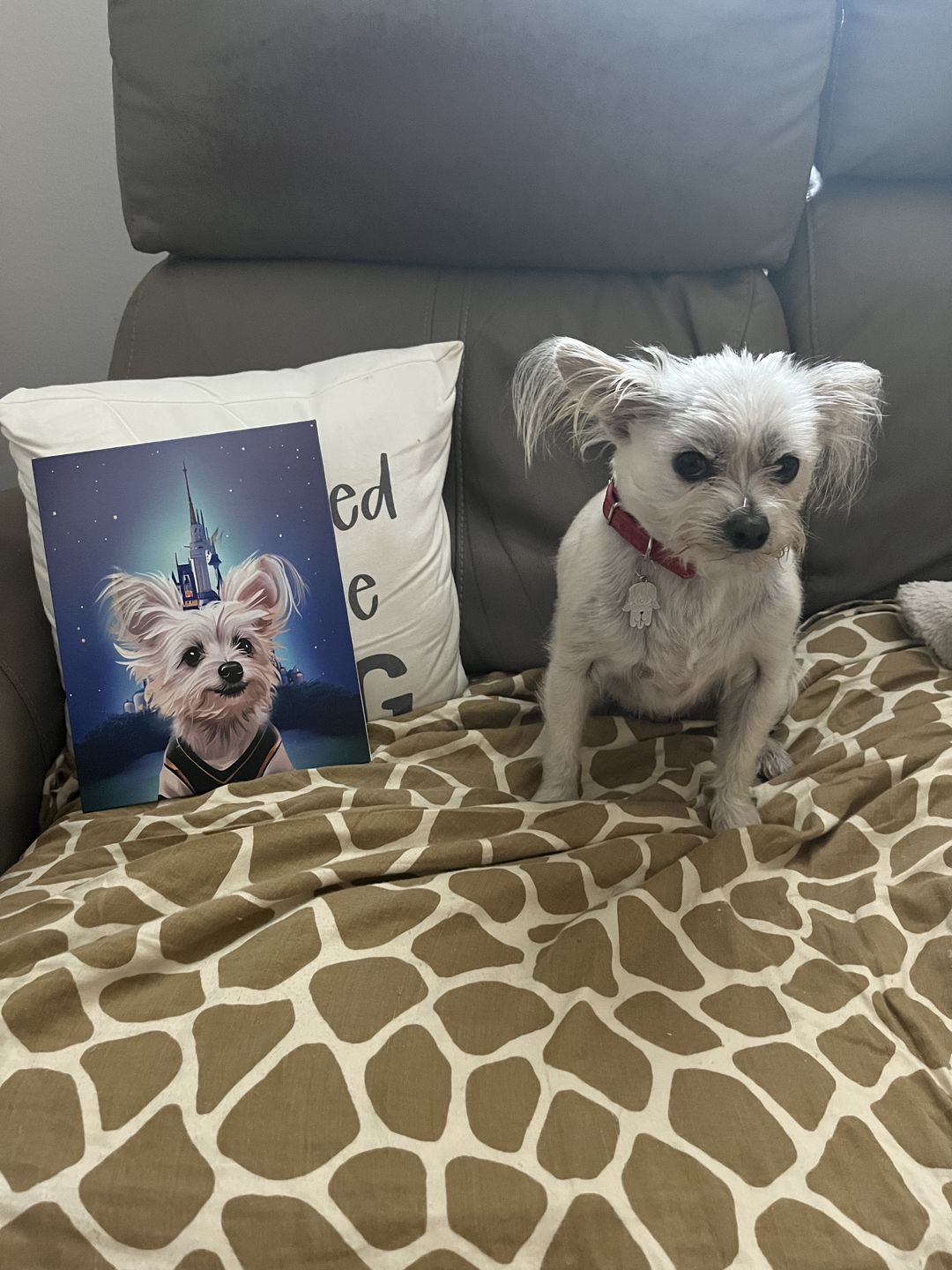 Customer photo review of Custom Pet Portrait