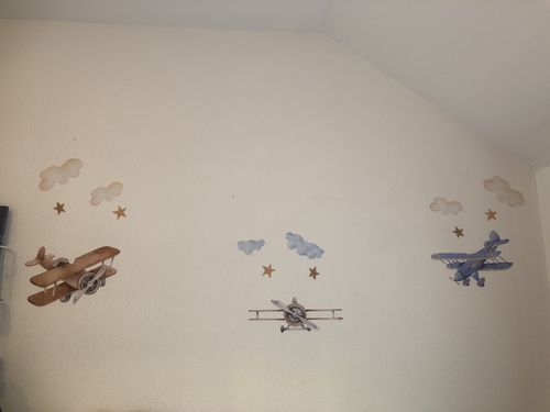 Customer photo review of Airplanes
