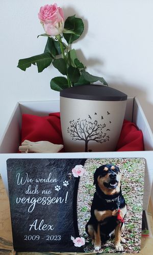 Customer photo review of Hunde Gedenktafel mit Foto & Spruch (UV- und wetterbeständig)