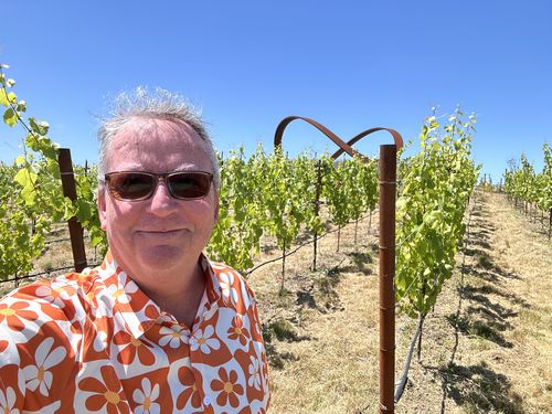 Customer photo review of Men's Floral Orange Plaid Vintage Button Up 70s Flower Short Sleeve Beach Summer Shirt