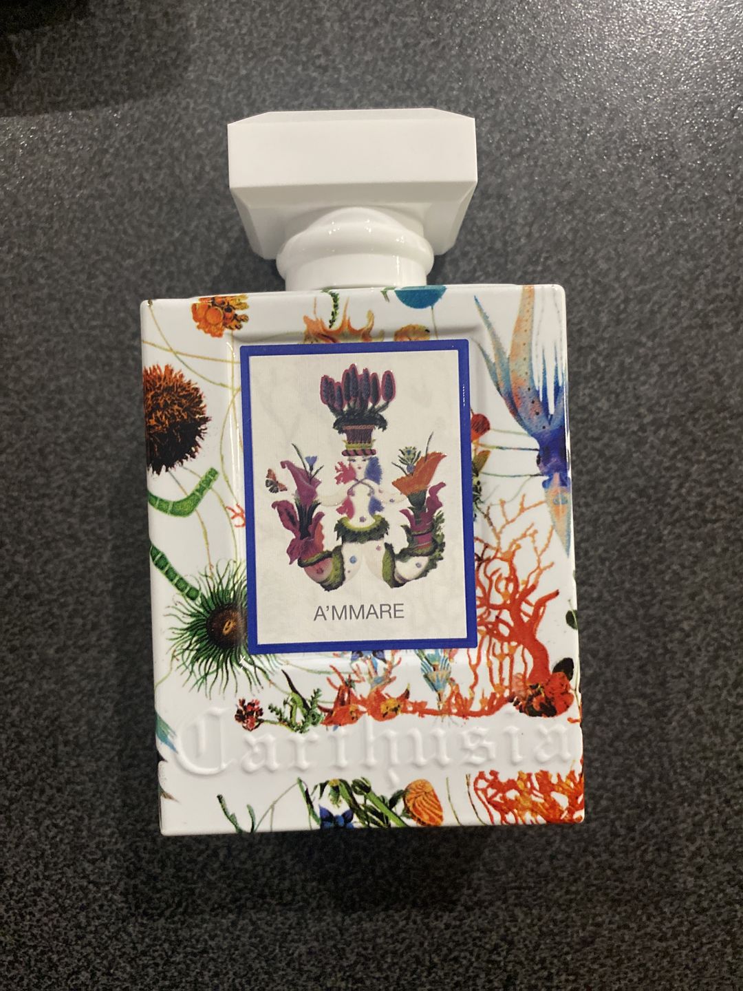 Customer photo review of CARTHUSIA - A'MMARE