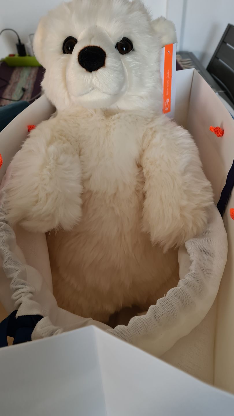 Customer photo review of Ma peluche Ours Jules