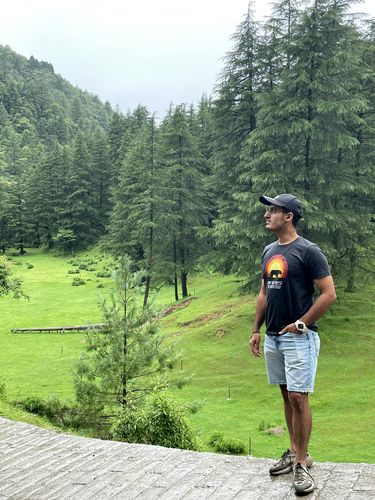 Customer photo review of The Forest Soul Series - Tiger