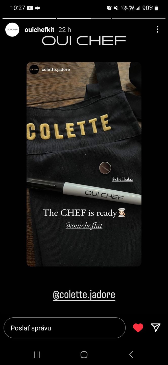 Customer photo review of HoldFast Magnetic Chef's Pin