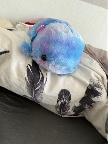 Customer photo review of Fuzzy Galaxy Axolotl