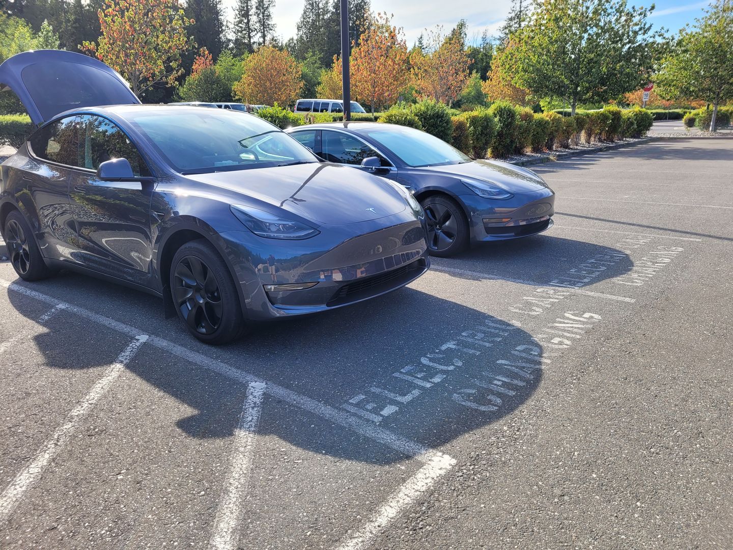 Customer photo review of TESPLUS 19'' Induction Style Wheel Cover for Model Y
