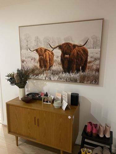 Customer photo review of Pair Highland Cows