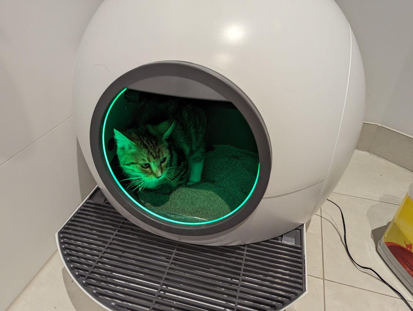 Customer photo review of PaWz Automatic Smart Cat Litter Box