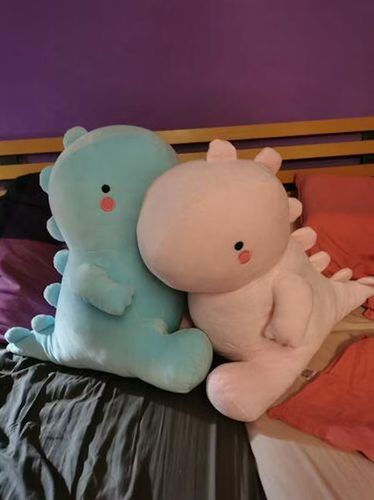 Customer photo review of Tato & Tate The Dino Lover Kawaii Plushies
