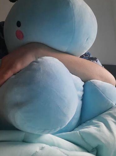 Customer photo review of Tato & Tate The Dino Lover Kawaii Plushies