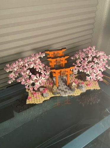 Customer photo review of Romantic Japanese Torii Gates Cherry Blossom Trees | Special Edition