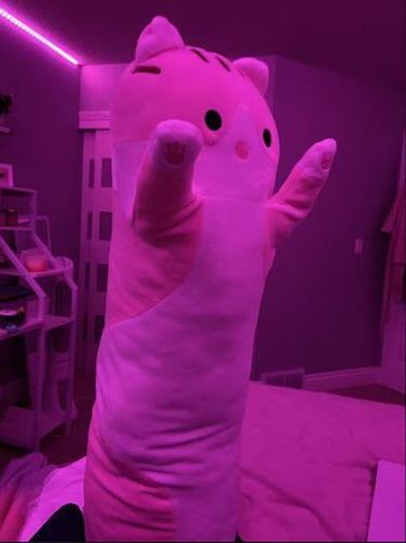 Customer photo review of Long Snuggle Buddies Plushie Collection