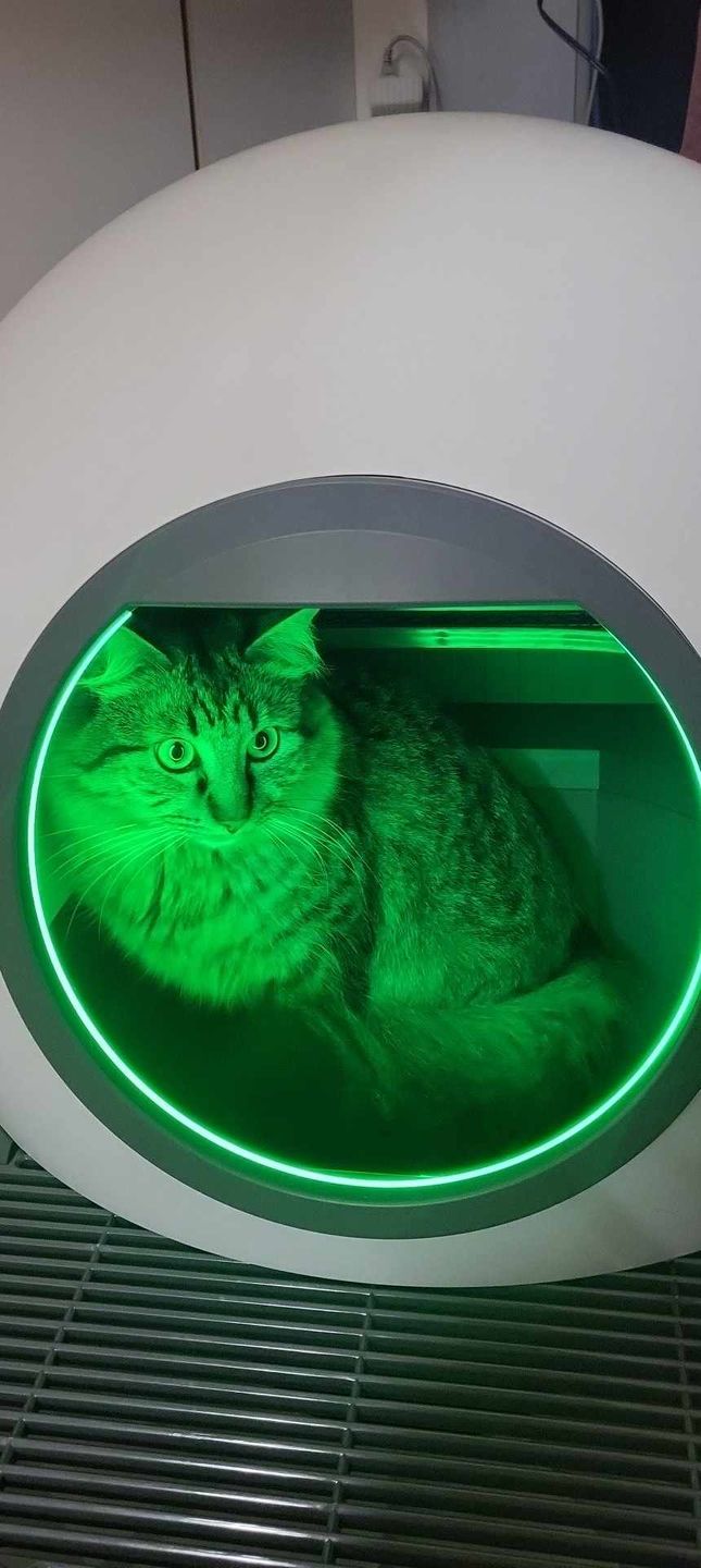 Customer photo review of PaWz Automatic Smart Cat Litter Box