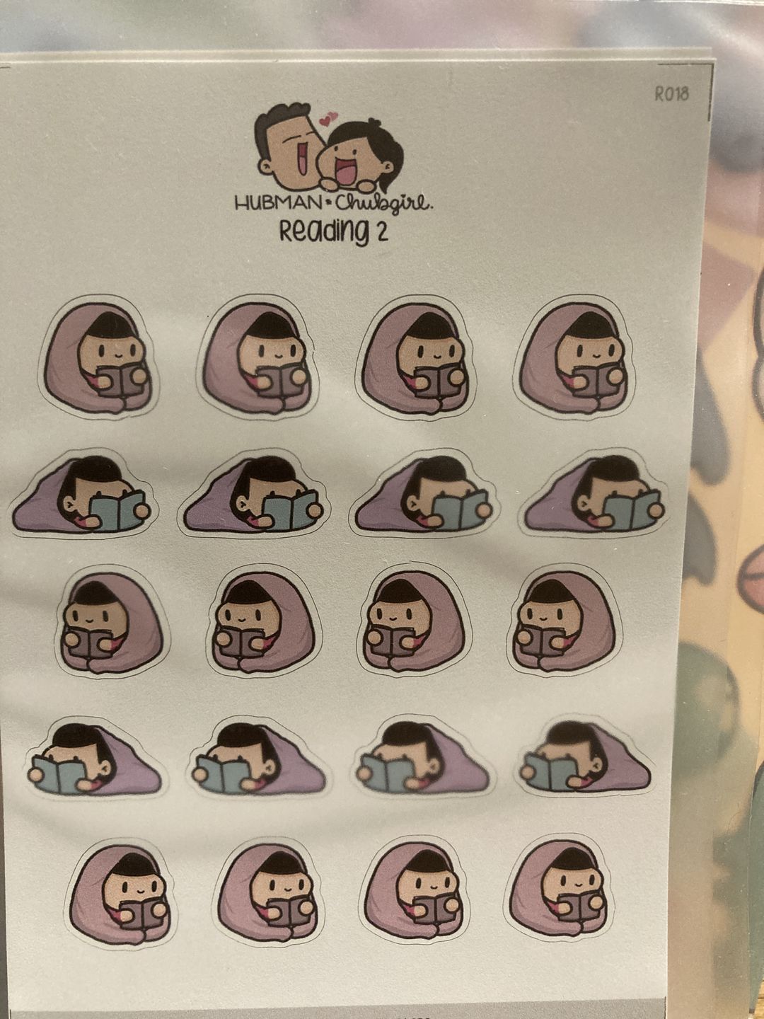 Customer photo review of Reading 2 Planner Stickers