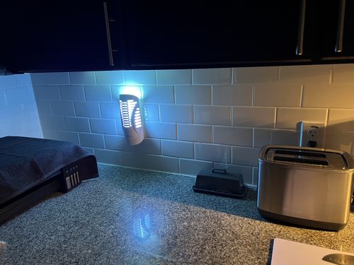 Customer photo review of Shieldeck® BuzzTrap - Plug-In Indoor Insect Smart UV Trap