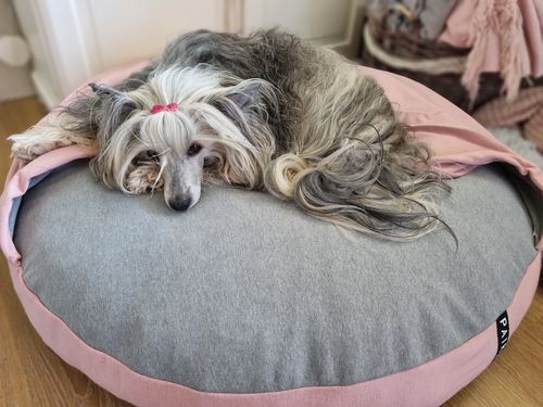 Customer photo review of Recovery Burrow Bed Pink for Dogs
