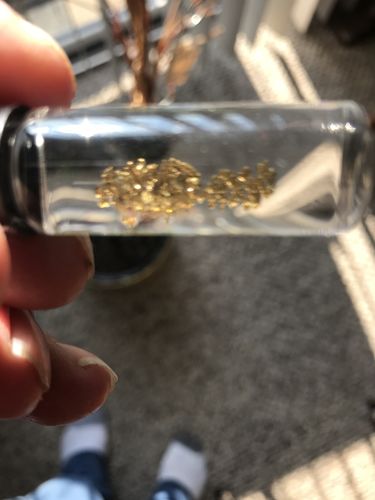 Customer photo review of *BOGO* Gold Diggers Delight '10 TROY OUNCE GOLD HUNT' - Gold Paydirt Panning Concentrates