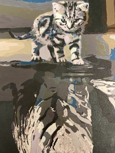 Customer photo review of Cat Mirror to Tiger