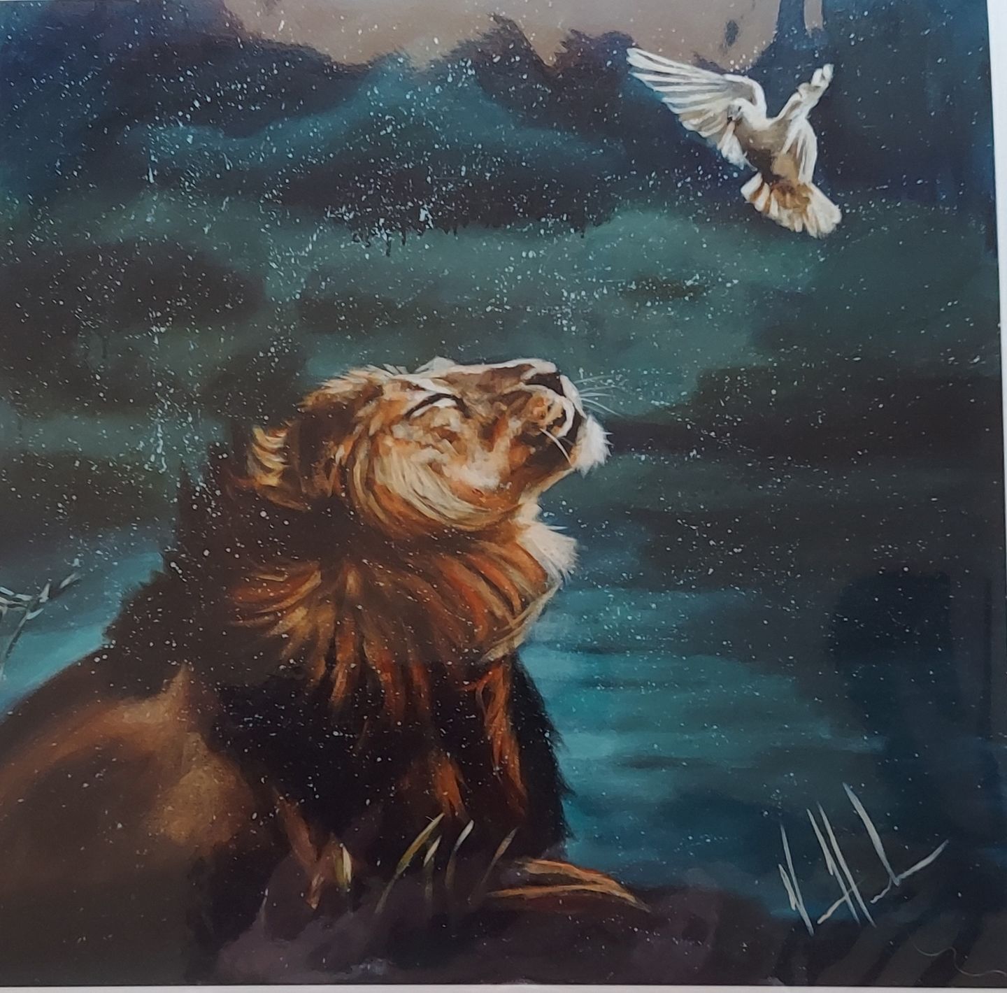 Customer photo review of Divine Freedom