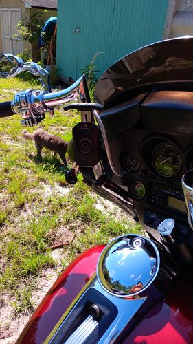 Customer photo review of Q-MOUNT MAX